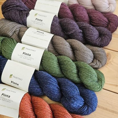 Bild von Pascuali Pinta